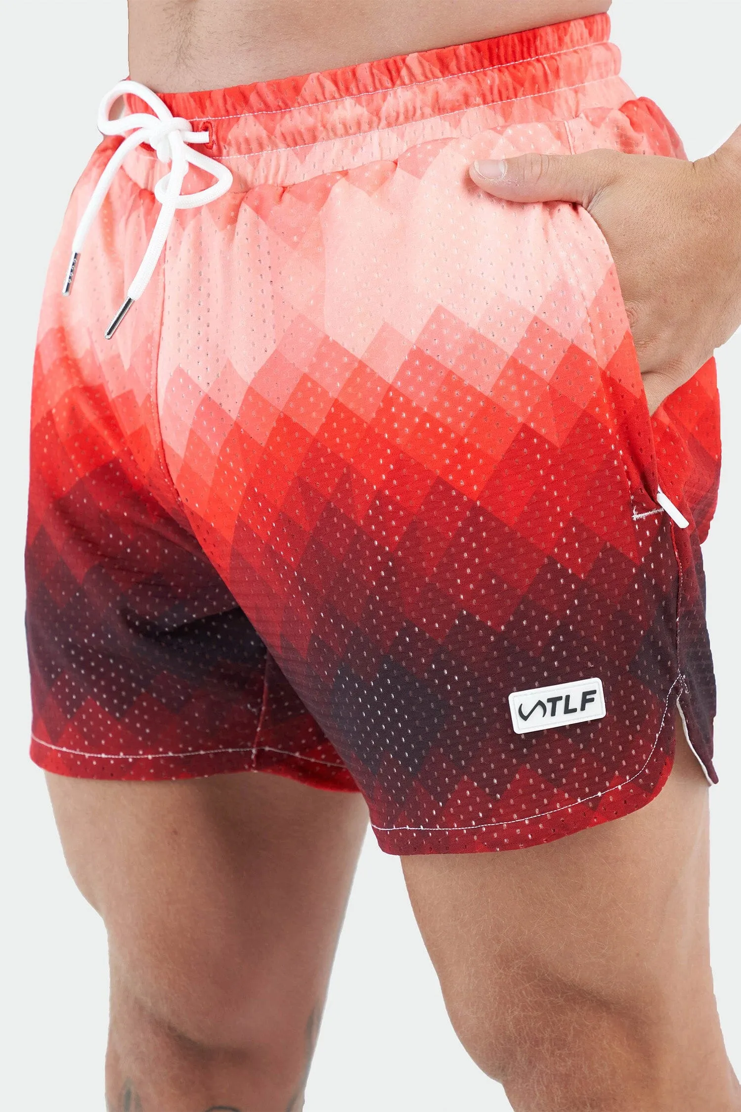 GTS Ombre Mesh 5 Inch Shorts