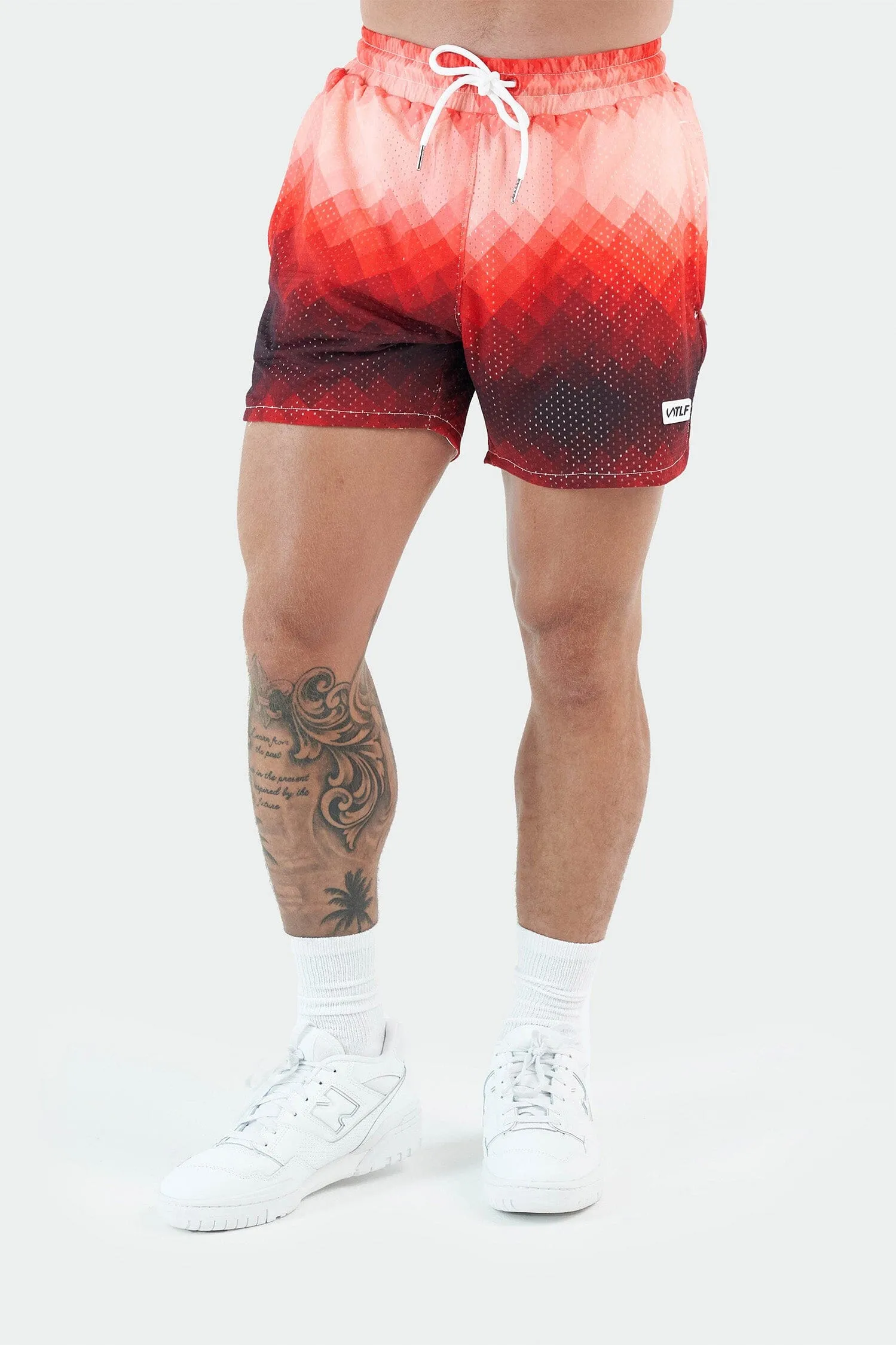 GTS Ombre Mesh 5 Inch Shorts